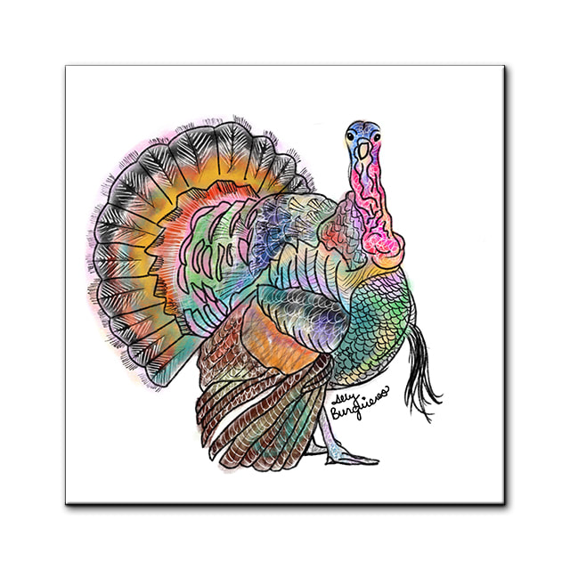 Colored Turkey